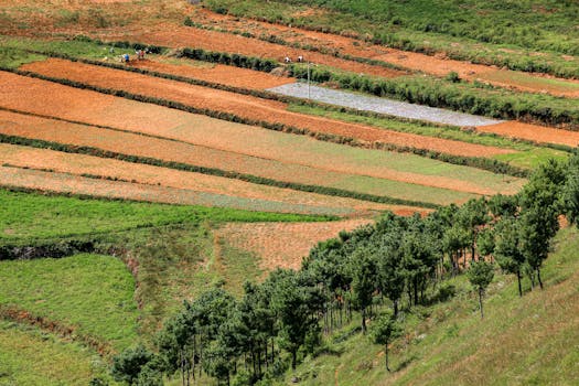 aerial view of a large plot of land with trees and a river