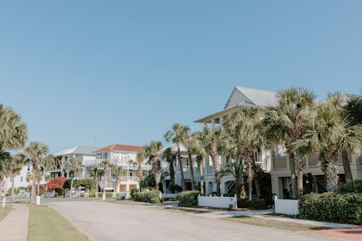 Florida skyline with homes and palm trees