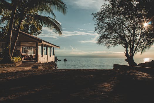 beachfront vacation home with palm trees